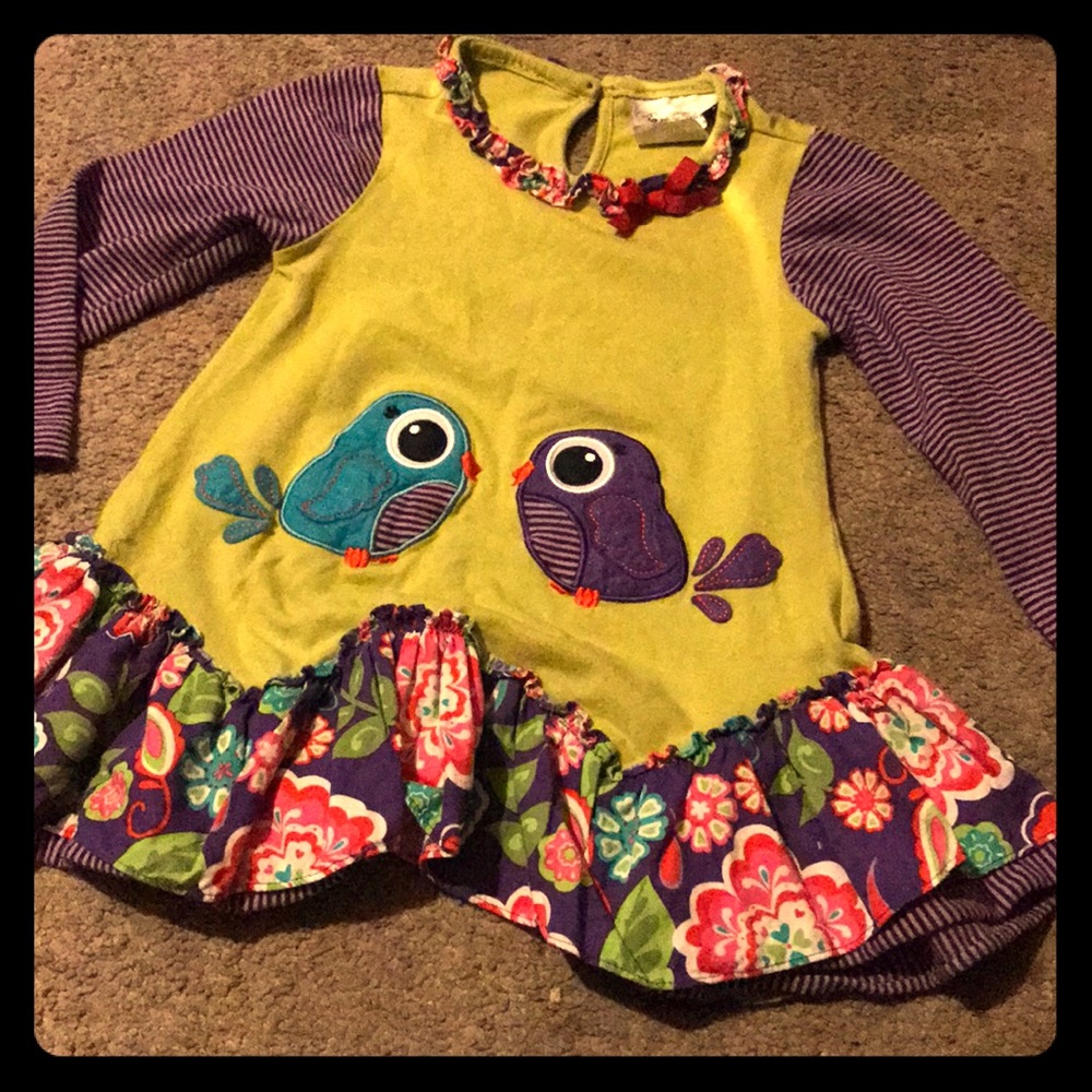 Girls Dress/top 4T